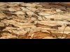 wood-spalted-beech